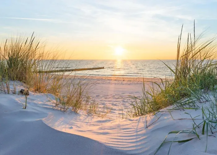 Mole ロストック